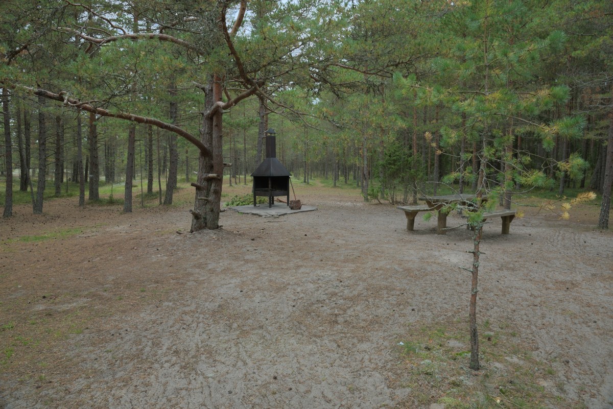  Пикниковое место кейбу (Keibu lõkkekoht).