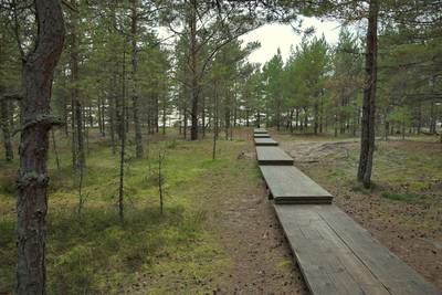 Пикниковое место кейбу (Keibu lõkkekoht)