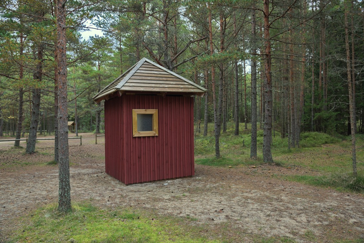  Пикниковое место кейбу (Keibu lõkkekoht).