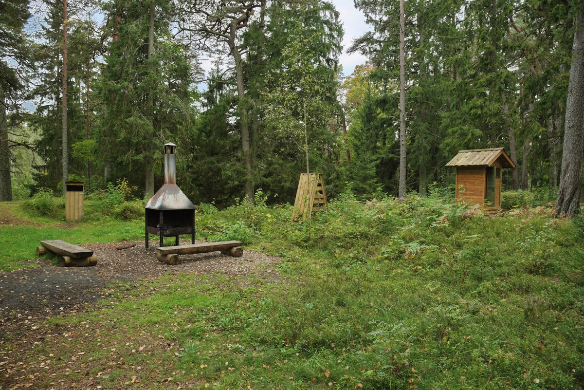  Пикниковое место падисе (padise lõkkekoht).