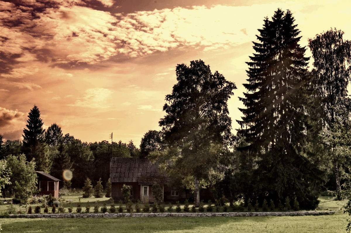  Фотографии от pixelzz. 