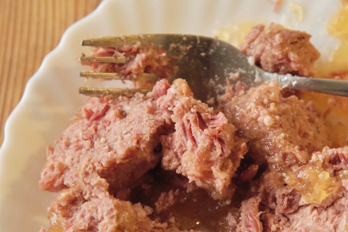  Дегустация тушёнки Registon.