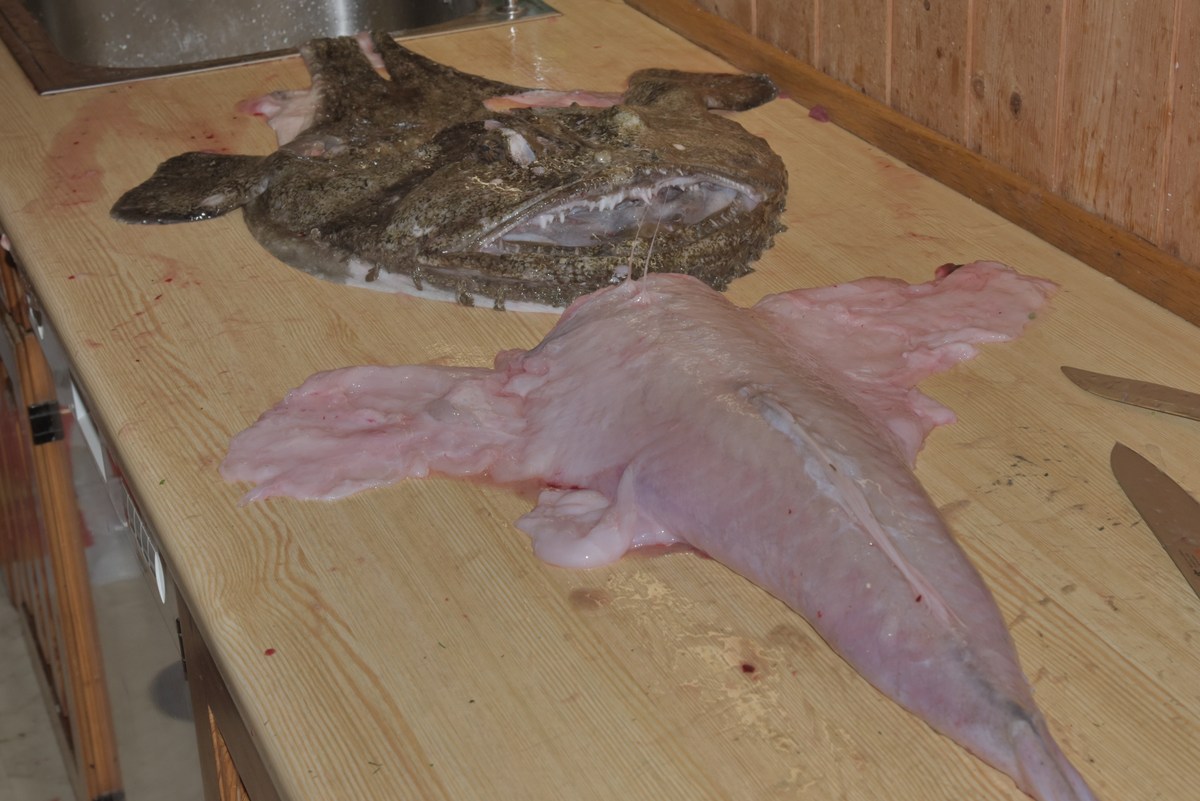 Разделали. Mорской чёрт.