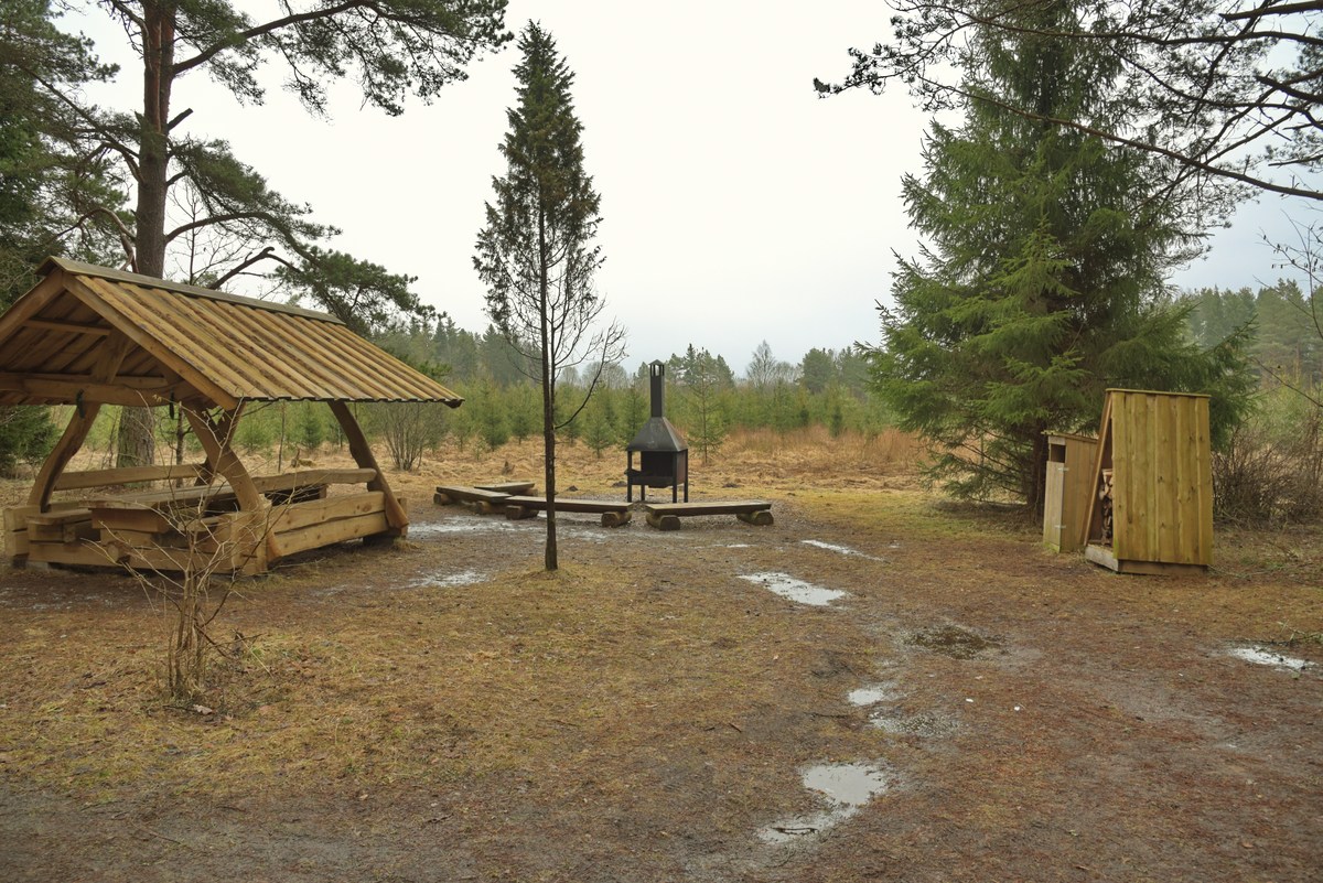  Пикниковое место охту.