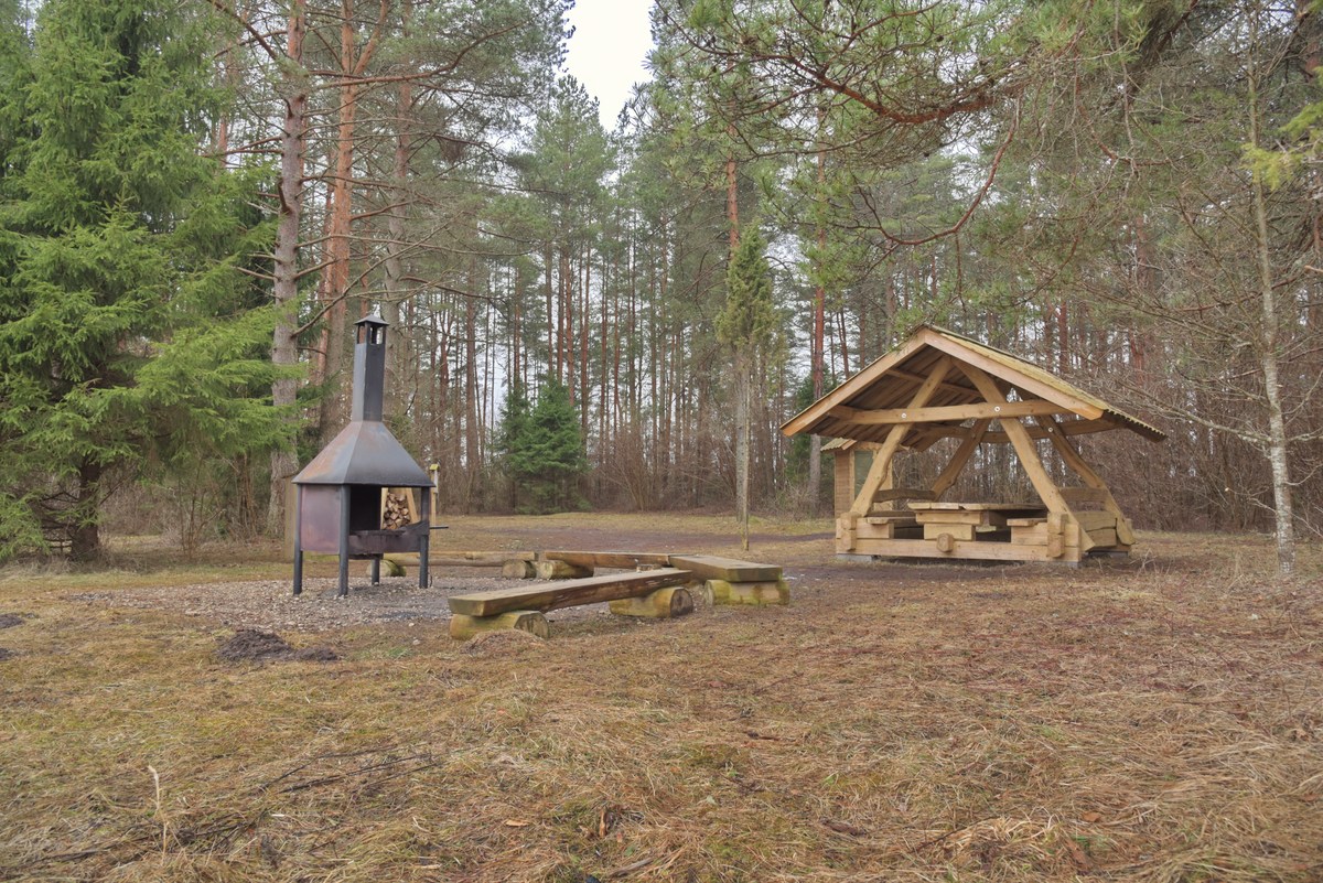  Пикниковое место охту.