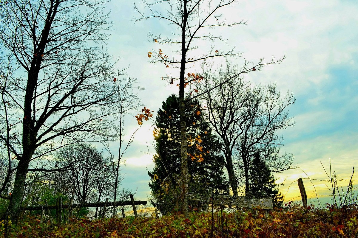  Фотографии от pixelzz. 