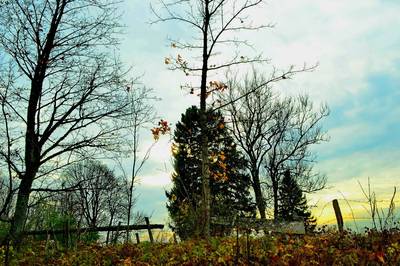 Фотографии от pixelzz