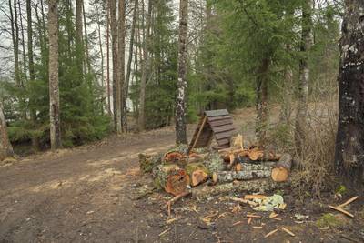 Место для костра Ярвеотса. Järveotsa lõkkekoht