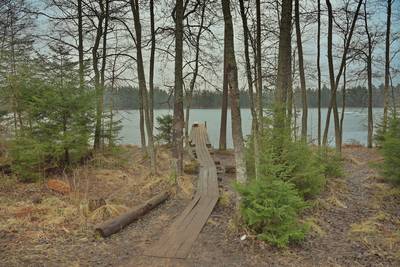 Место для костра Ярвеотса. Järveotsa lõkkekoht