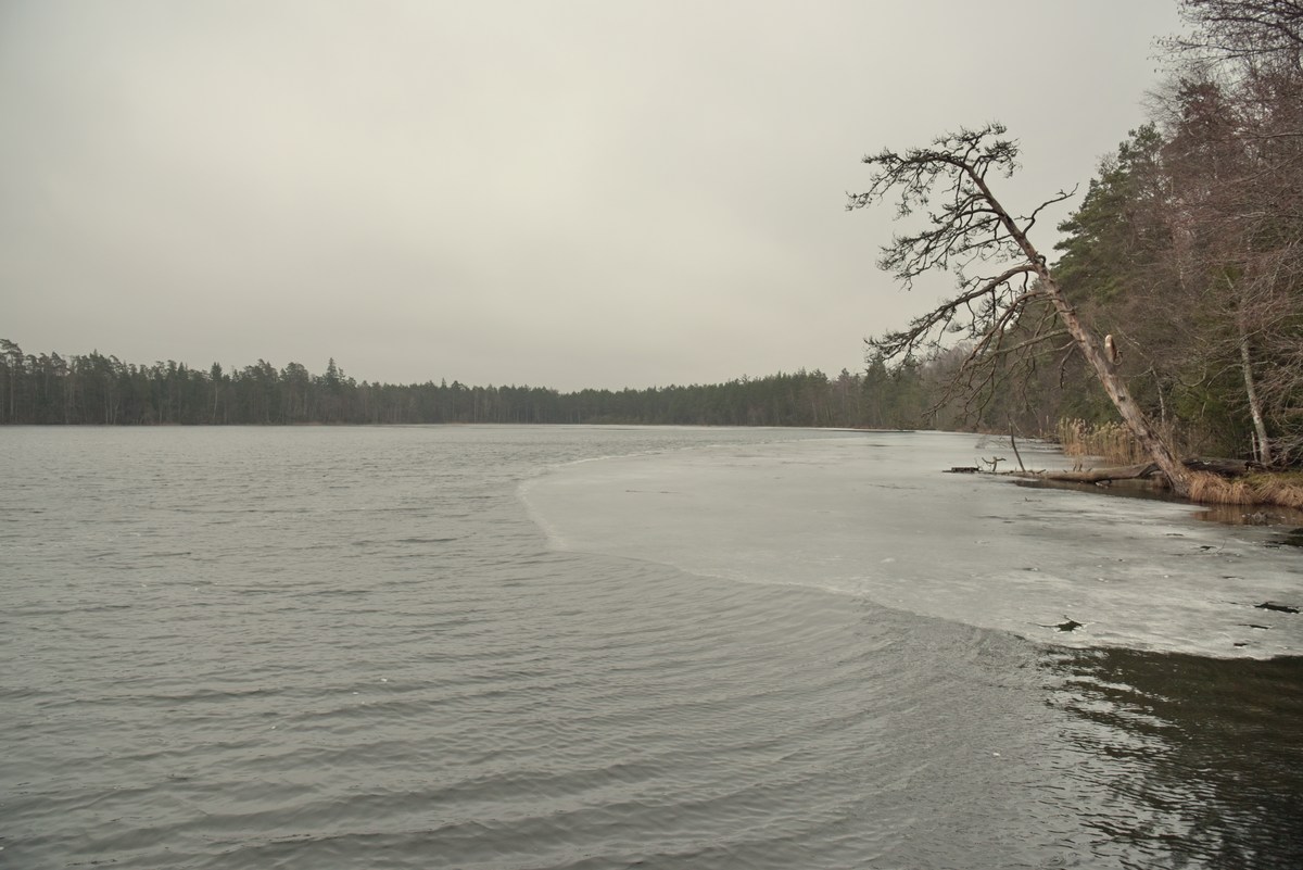 Озеро. Место для костра Ярвеотса.