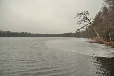 Место для костра Ярвеотса. Järveotsa lõkkekoht