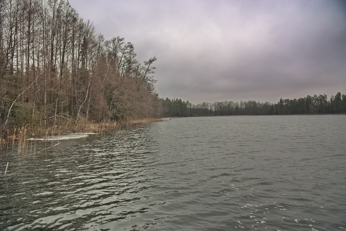 Озеро. Место для костра Ярвеотса.