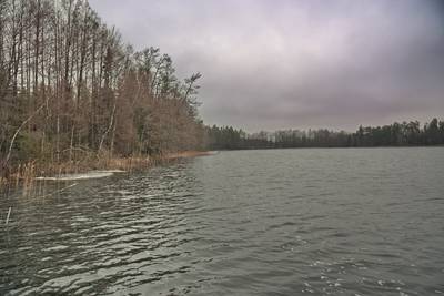 Место для костра Ярвеотса. Järveotsa lõkkekoht