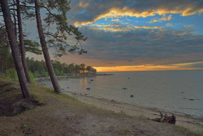 Пикник под Палдиски 2017
