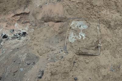 Пикник под Палдиски 2017