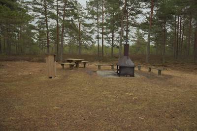 Место для костра Тянавярве, Tänavjärve lõkkekoht.