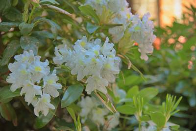 Стокгольм, здание нобелевского комитета.