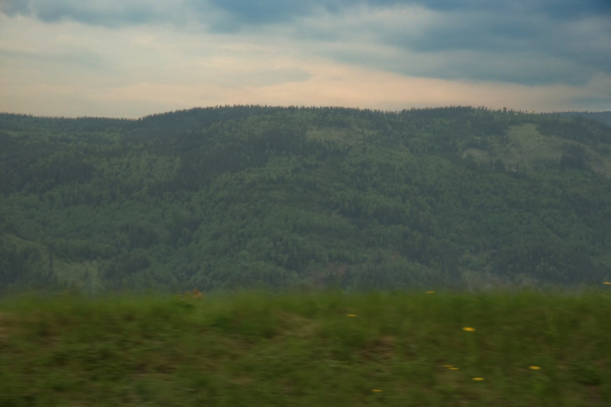 Начинаются горы.  Норвегия. Вид из окна машины.