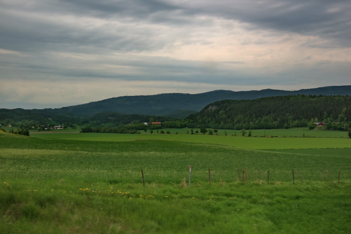 Норвежское сельское хозяйство. Норвегия. Вид из окна машины.