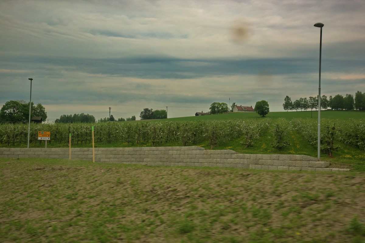 Норвежское сельское хозяйство. Норвегия. Вид из окна машины.