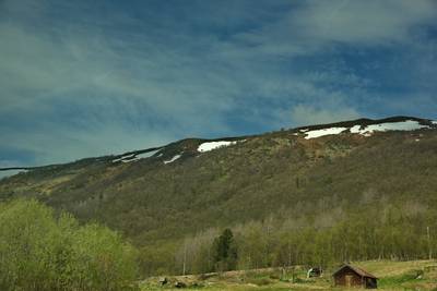 Норвегия. Вид из окна машины.