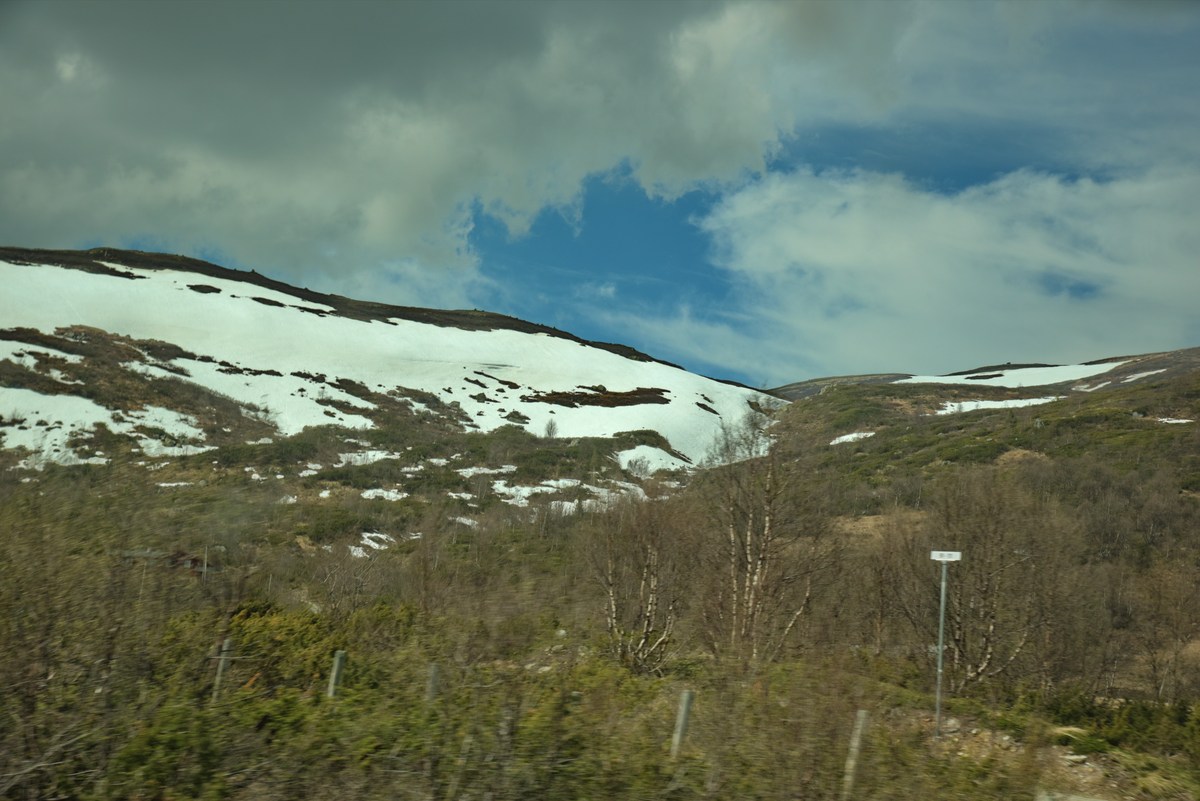 Норвегия. Вид из окна машины. Часть ворая.