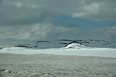 Норвегия. Едем через перевал.