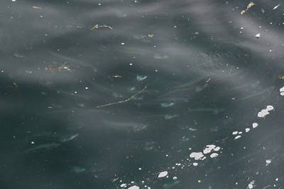 Рыбалка в Норвегии.