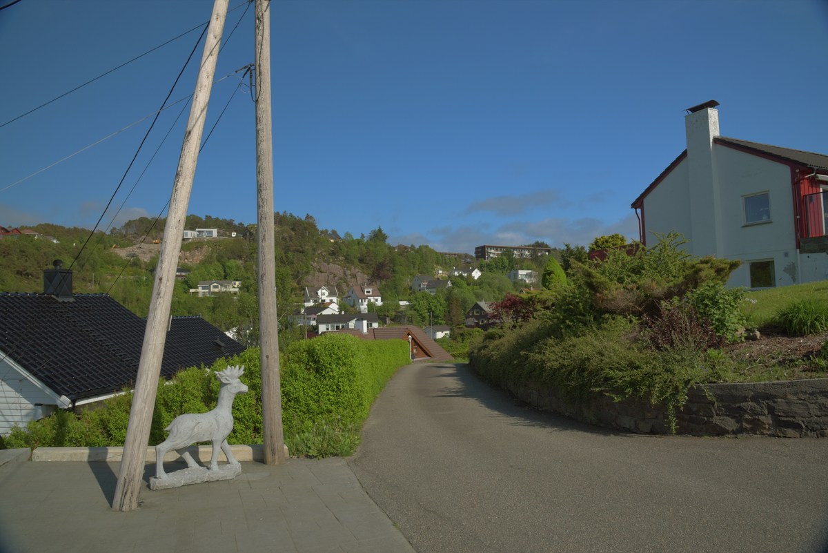  Пейзажи Норвегии. 