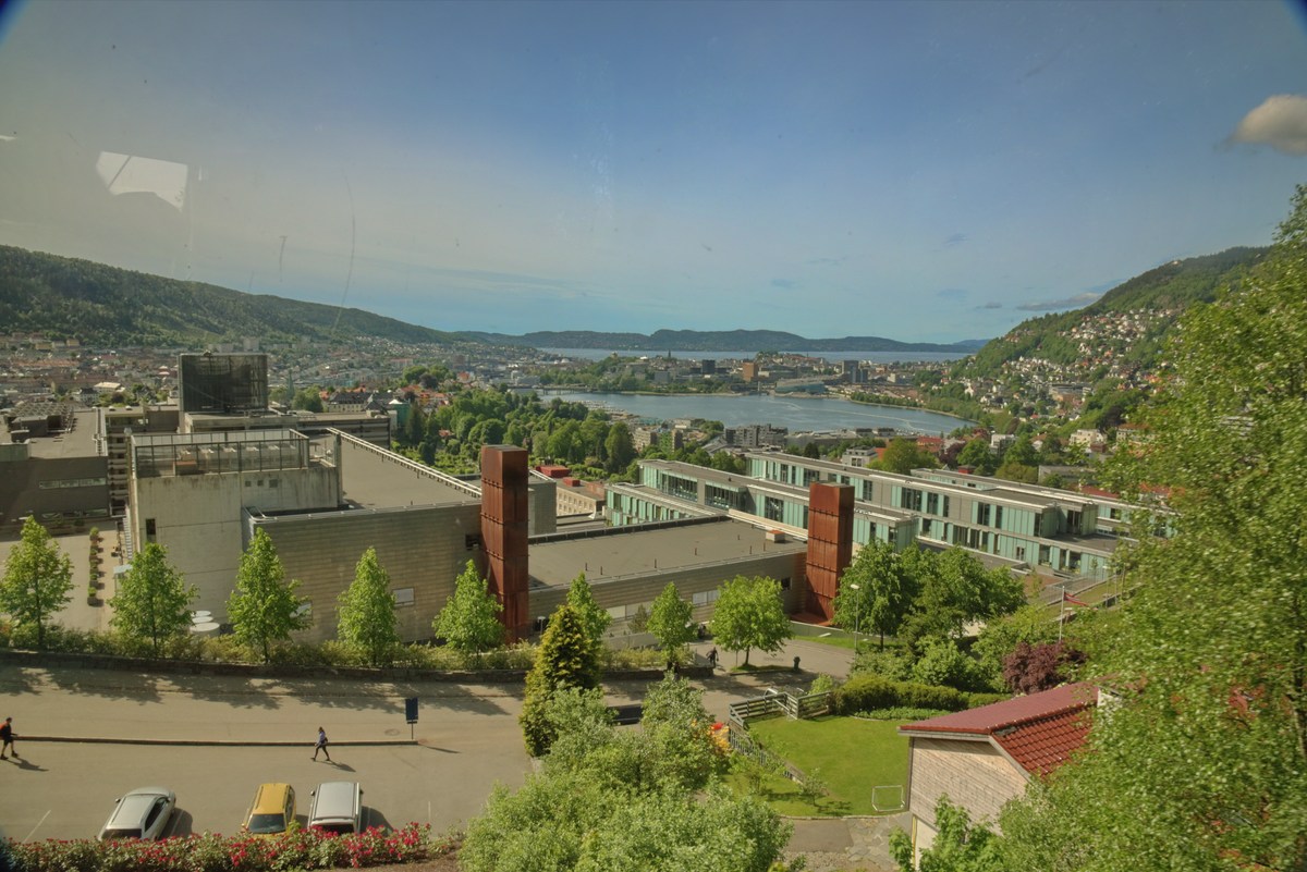  Норвегия, Берген, на горе.