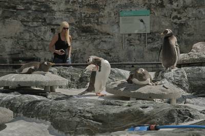 Океанариум Бергена