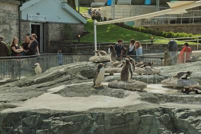 Океанариум Бергена