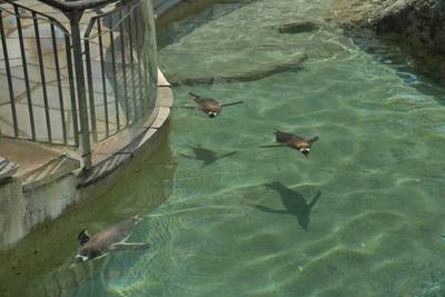 Океанариум Бергена