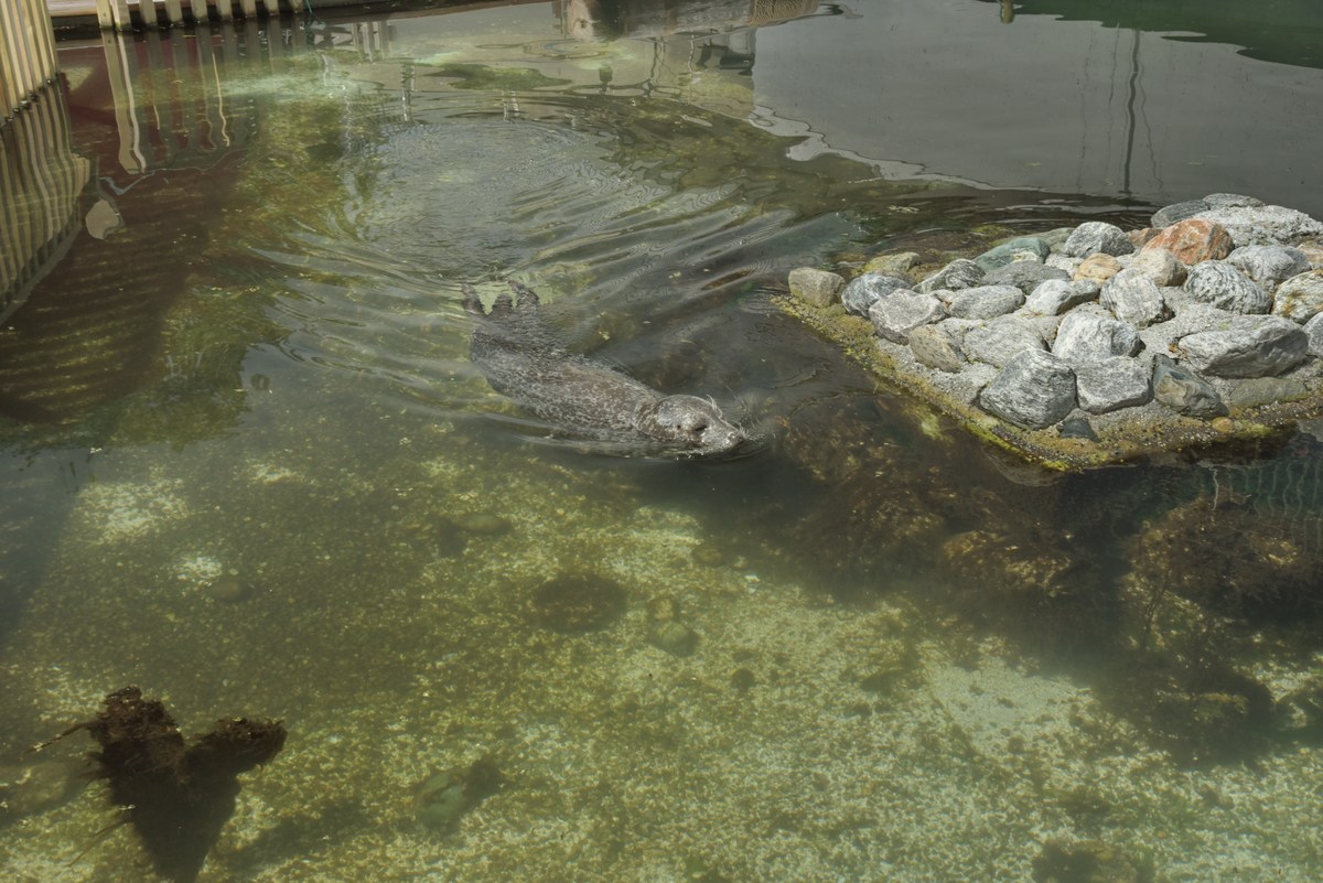 Океанариум Бергена.