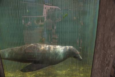 Океанариум Бергена