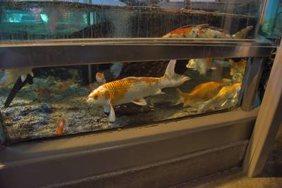 Океанариум Бергена