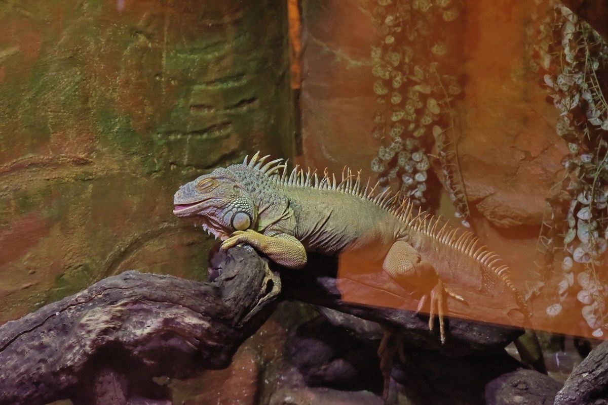  Океанариум Бергена.