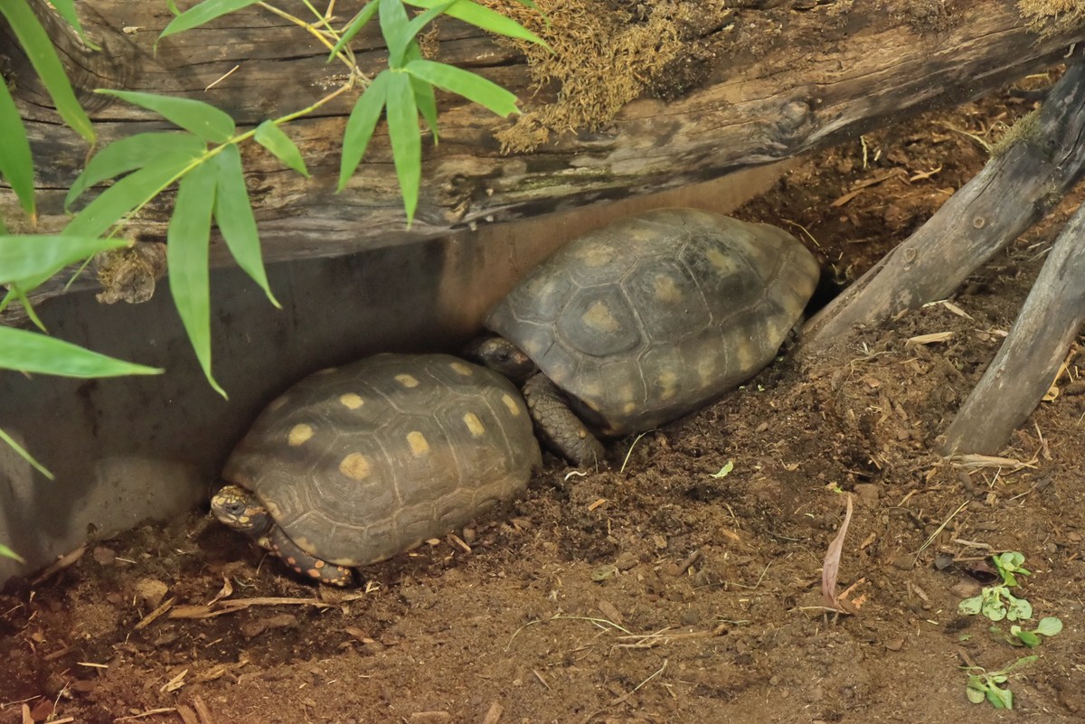  Океанариум Бергена.