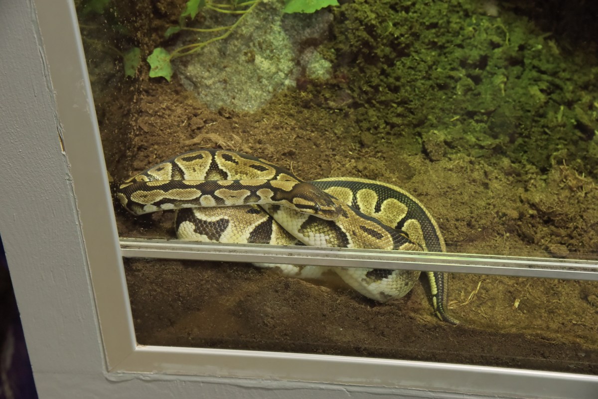  Океанариум Бергена.