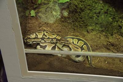 Океанариум Бергена