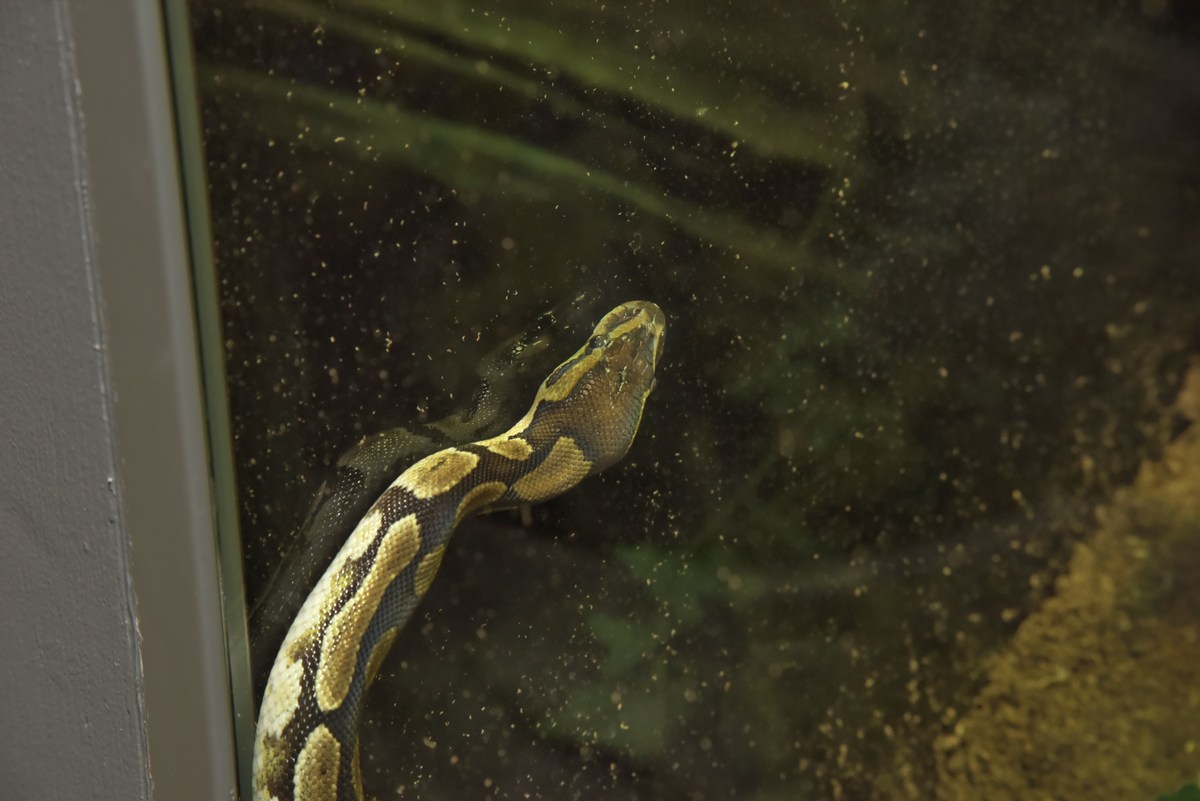  Океанариум Бергена.