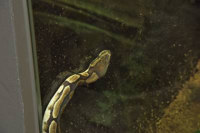 Океанариум Бергена