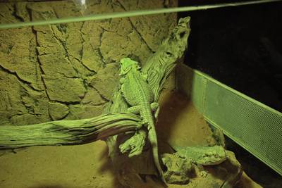 Океанариум Бергена