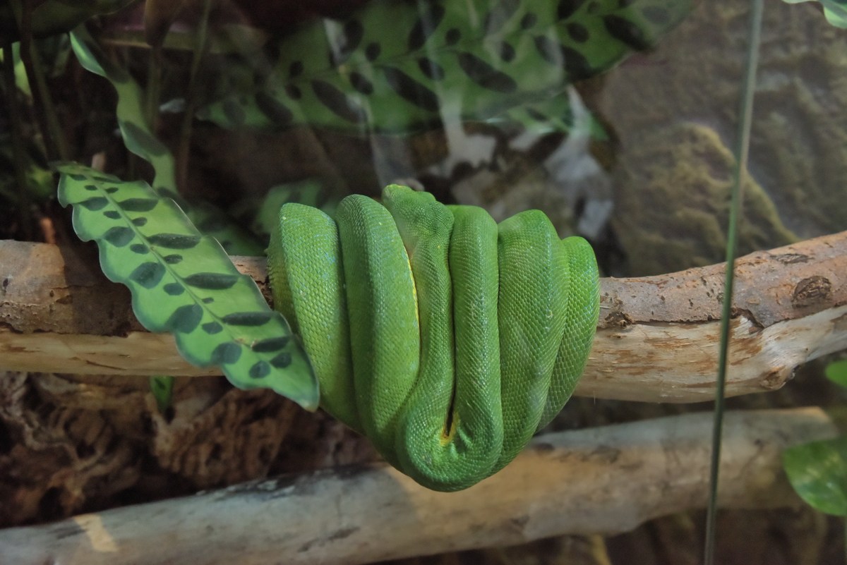  Океанариум Бергена.