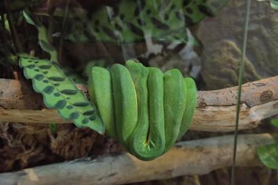 Океанариум Бергена