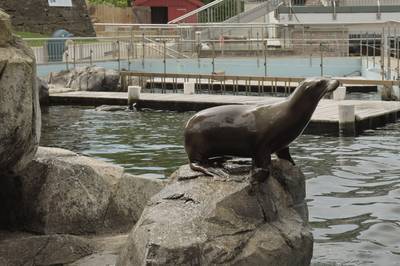 Океанариум Бергена, часть вторая