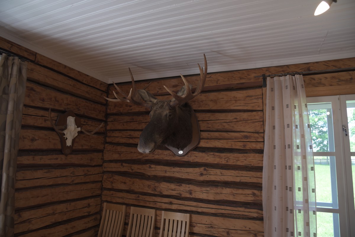  Центр отдыха Тоосиканну. Toosikannu Puhkekeskus.