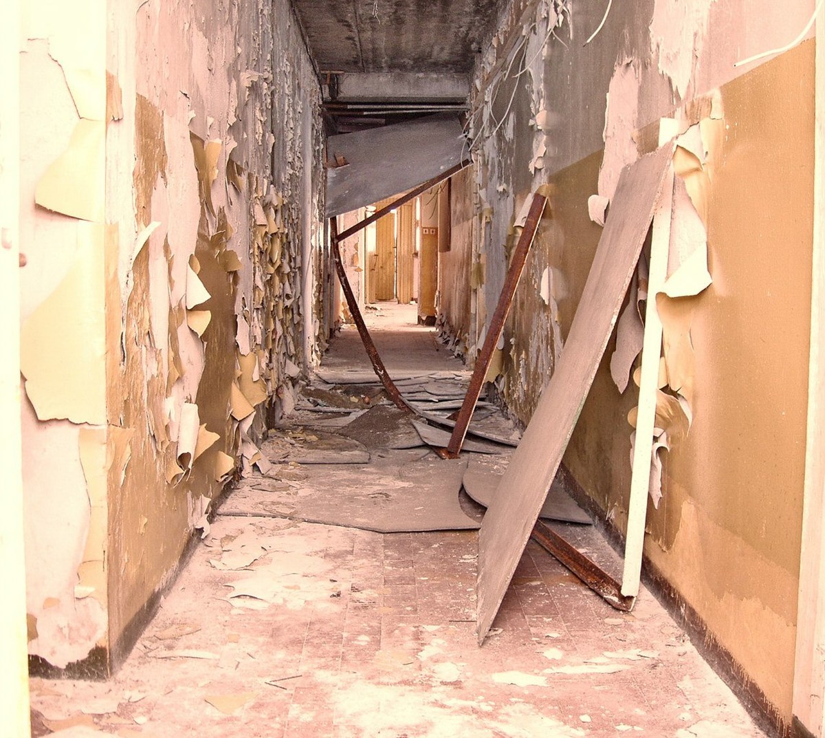  Фотографии от pixelzz. 