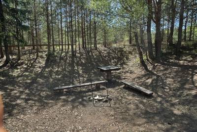 Место для палаток венемяе (Venemäe telkimisala)