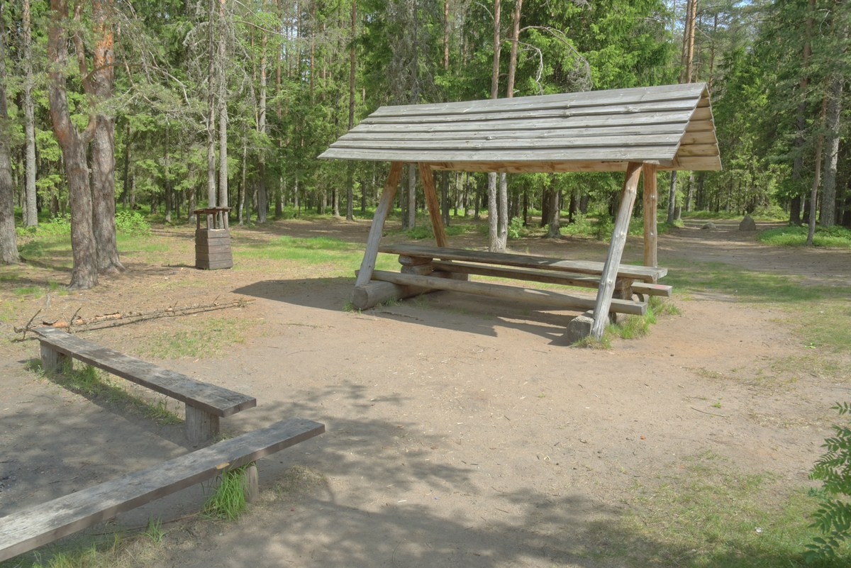  Место для палаток пайн-ярве (Järvi Pärnjärve telkimisala).